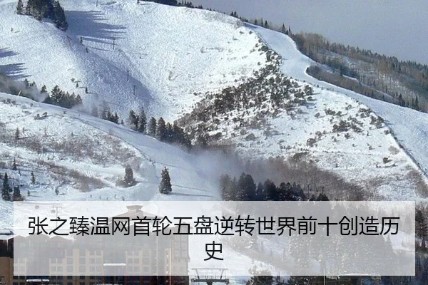 zhang-zhi-zhen-wen-wang-shou-lun-wu-pan-ni-zhuan-shi-jie-qian-shi-chuang-zao-li-shi-2-241.jpg